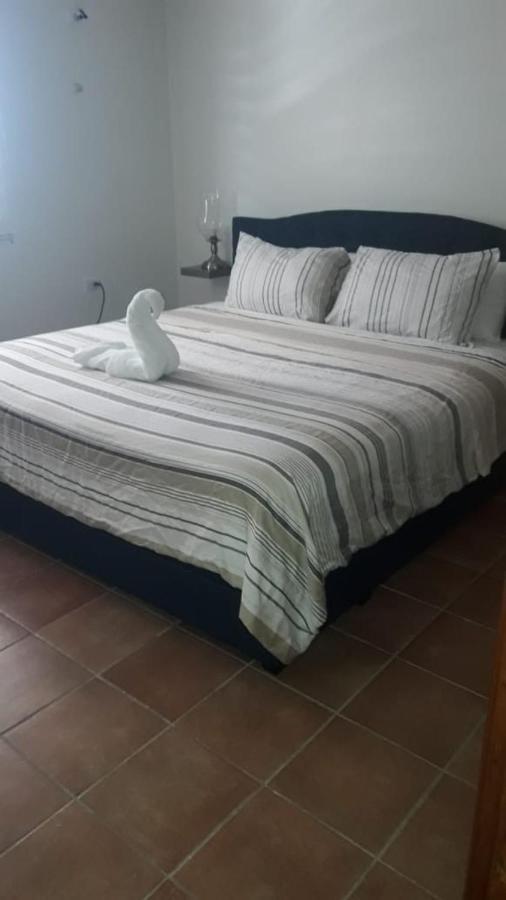 Maison Saint-Pierre2 ฟิลิปส์เบิร์ก ภายนอก รูปภาพ